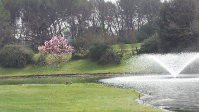 Saint Donat Damgolf 2015-03-20