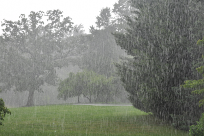 Rain-s